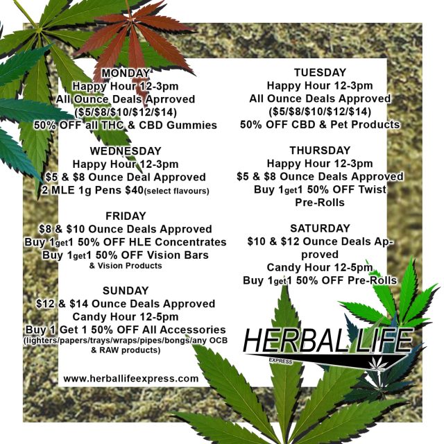 new flyer