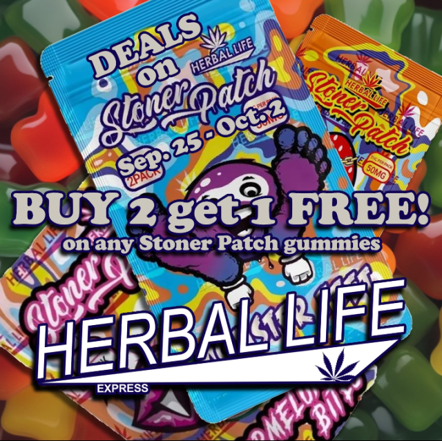 newflyer1