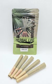 A-AA Regular Pre-Roll's - Image 2