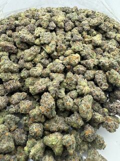 Black Amber - Image 2