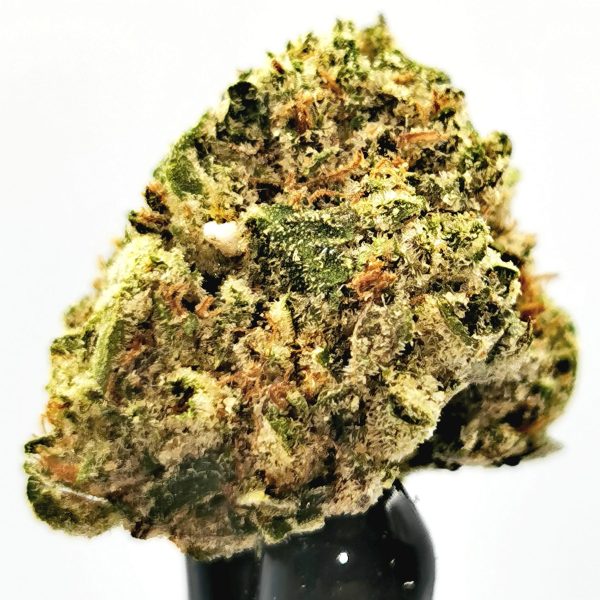 OG Kush