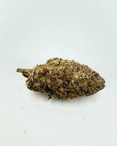 Rocket Fuel
