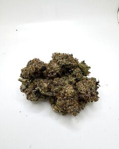 Jetfuel Gelato