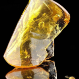 Honey Badger Extracts AAAA 1g Shatter