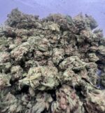 TRAIN WRECK - Image 2