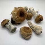 HILLBILLY PUMPKIN MUSHROOMS