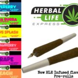 NEW HLE INFUSED 2x.5g PRE-ROLL'S