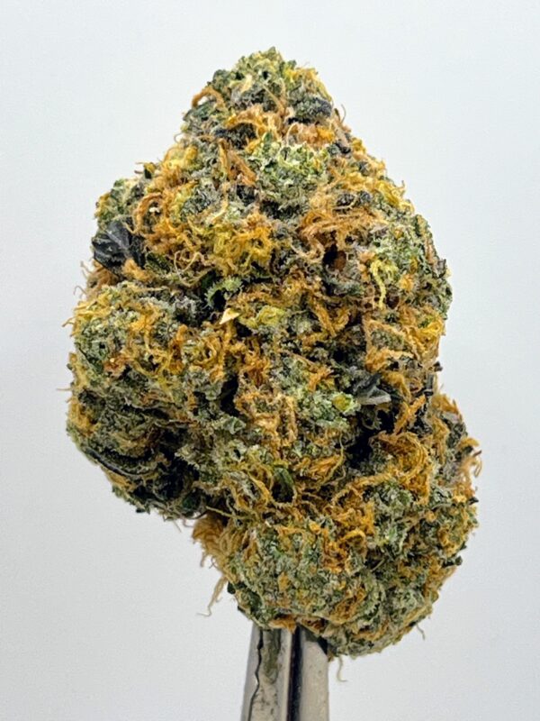 Venom OG