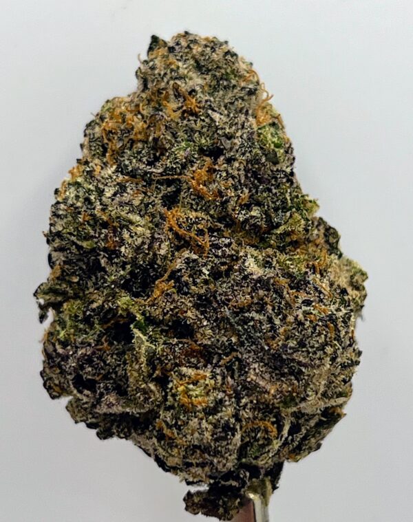 Sherb Cream Pie