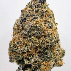 Peach Tree