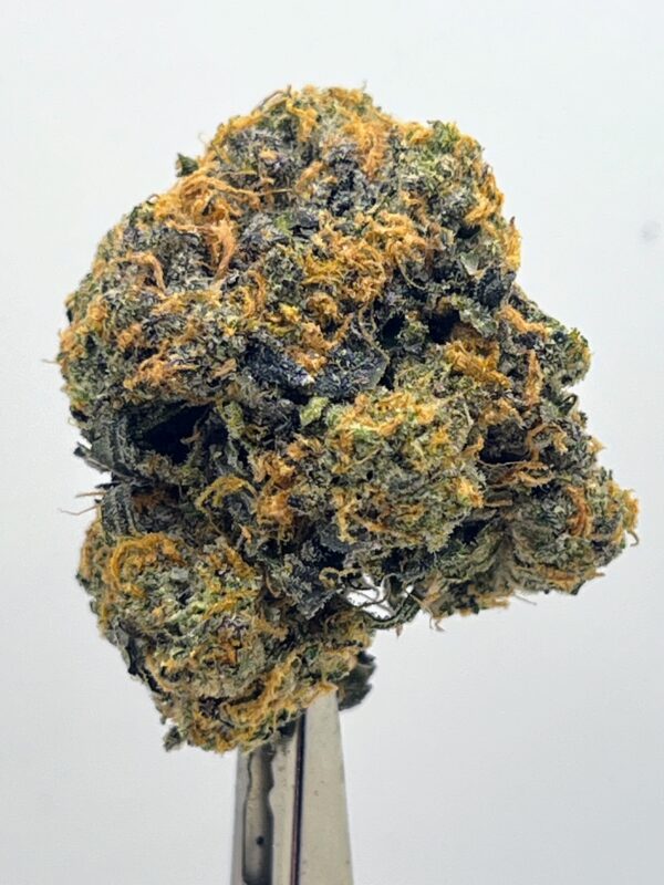Monkey Balls