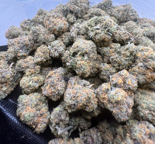 Monkey Balls - Image 2