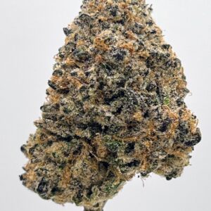 Purple Tahoe OG