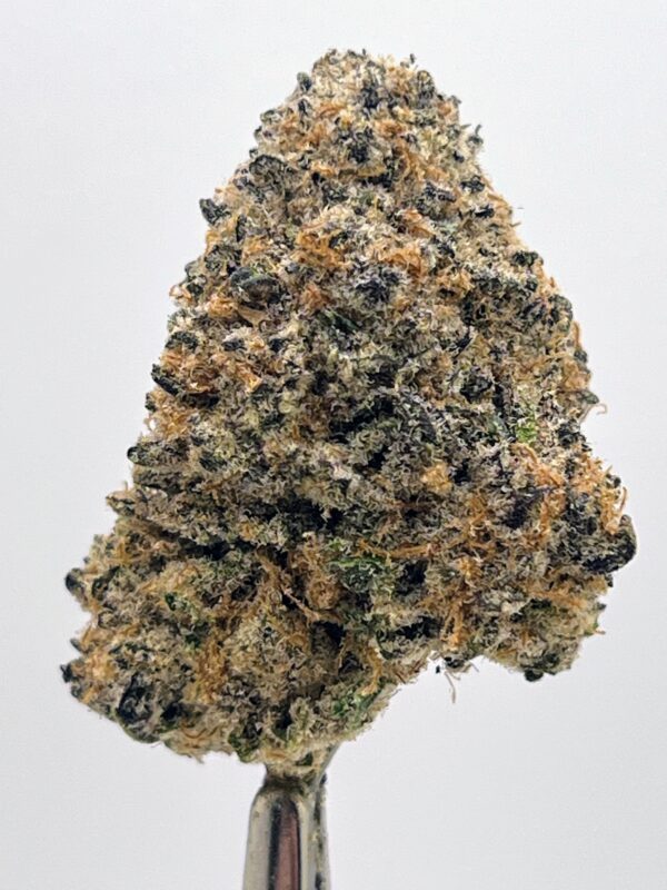 Purple Tahoe OG