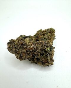 $10 FRITTER GLITTER