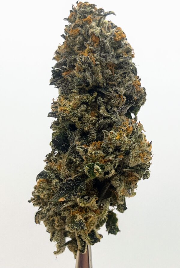 Girl Scout Cookies