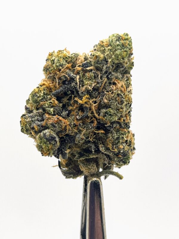 Orange Kush