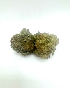 Blueberry Muffin
