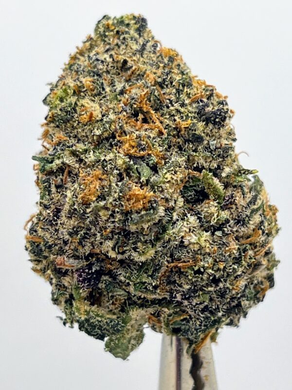 Cookies Kush