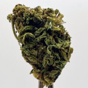 Durban Haze