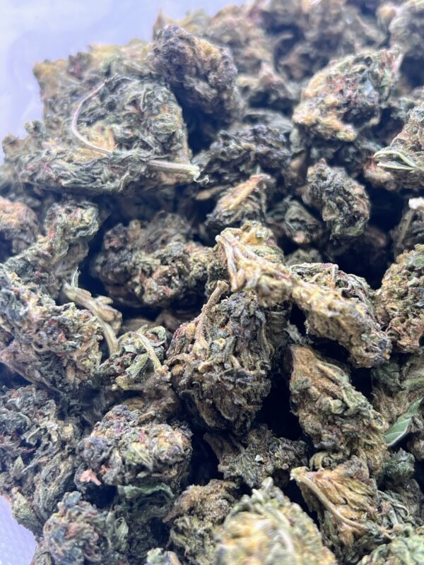 Durban Haze - Image 2
