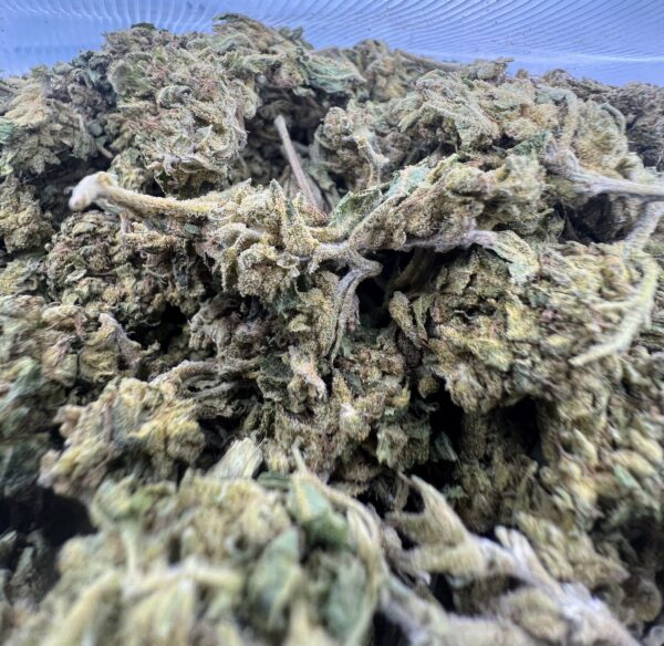 SOUR PEACH - Image 2