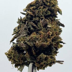 SUNSET OG
