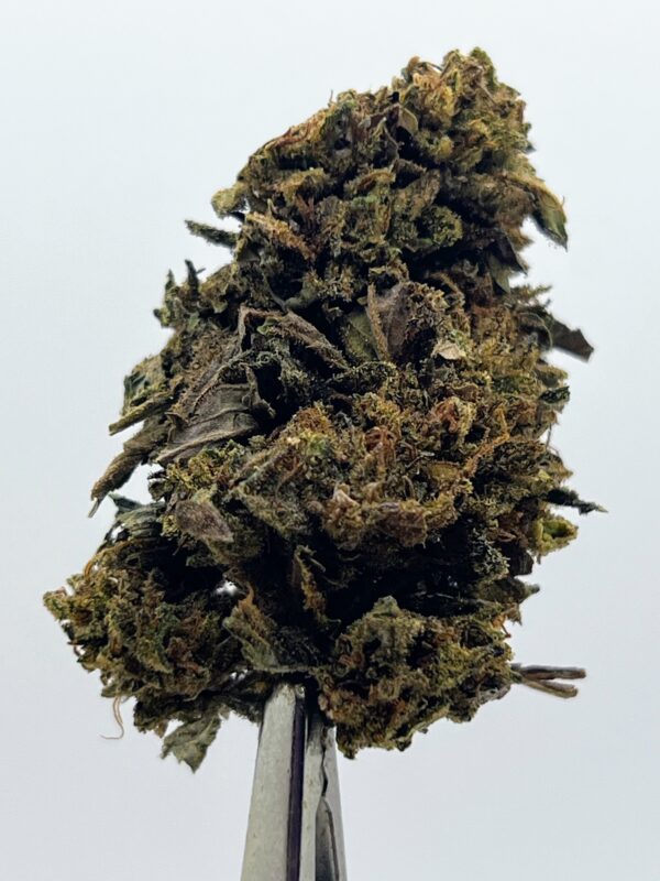 SUNSET OG