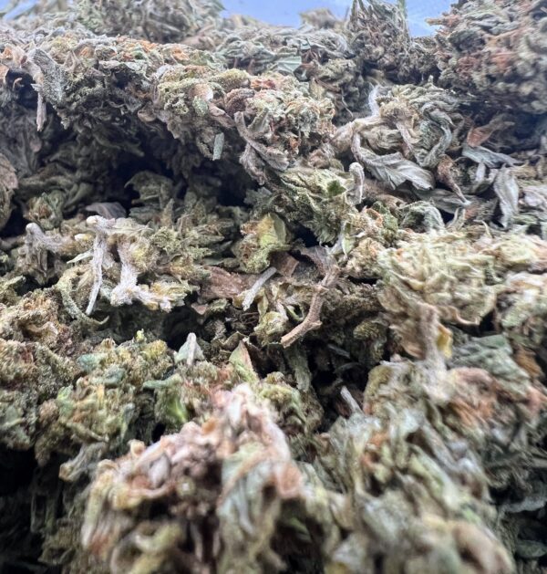 SUNSET OG - Image 2