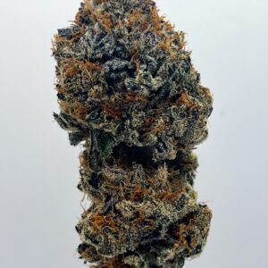 Apple Fritter