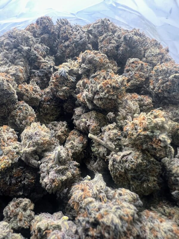 Apple Fritter - Image 2