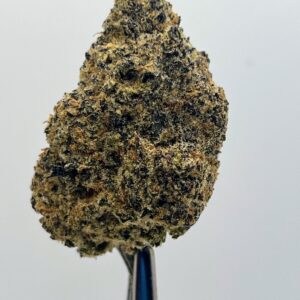 Northern Lights