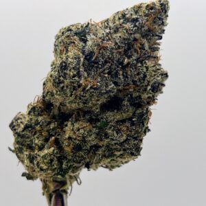 Tropicana Cherry