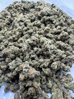 KEYLIME PIE - Image 2