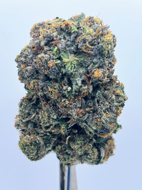 First Class Funk