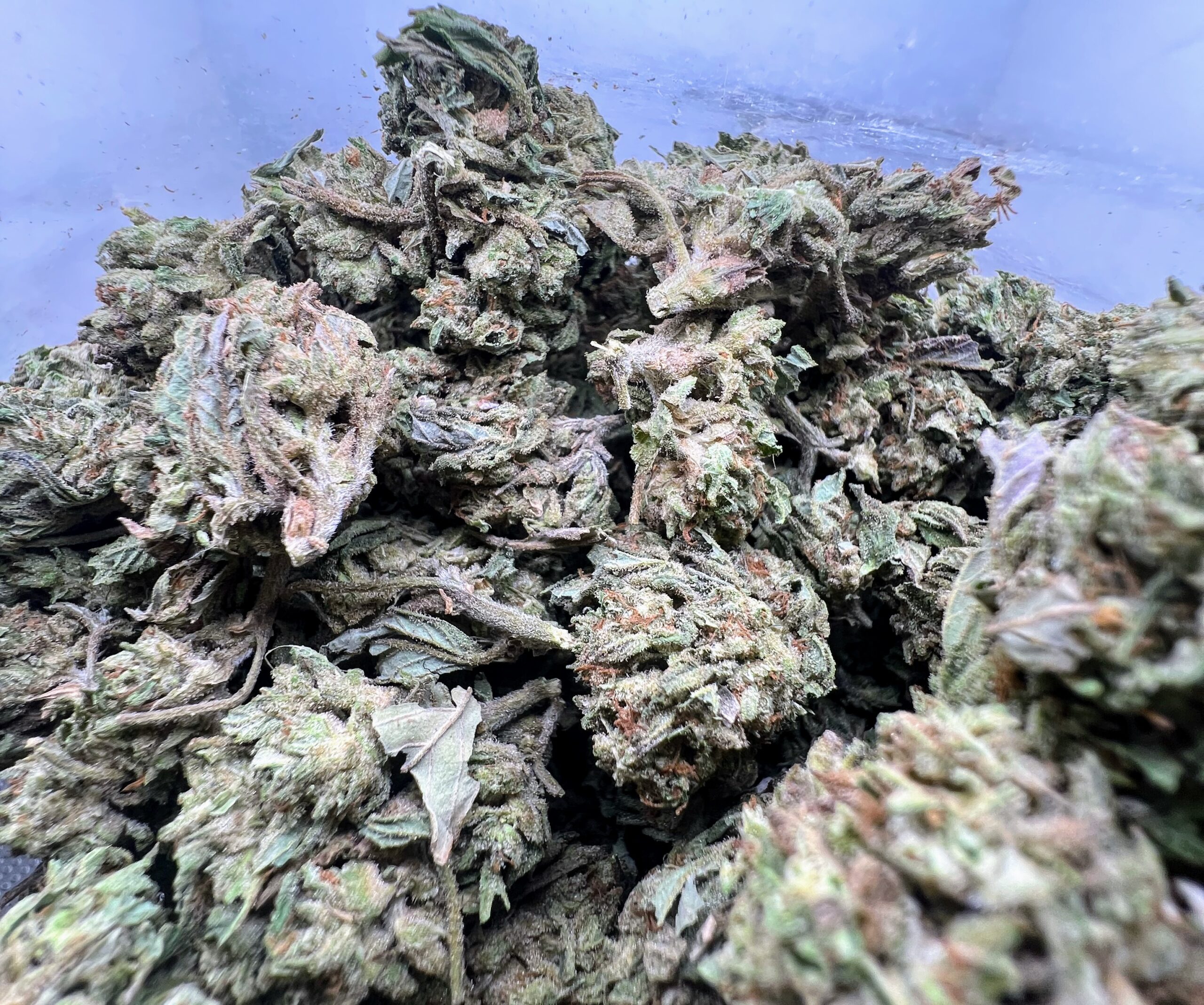 Berry Bliss - Image 2