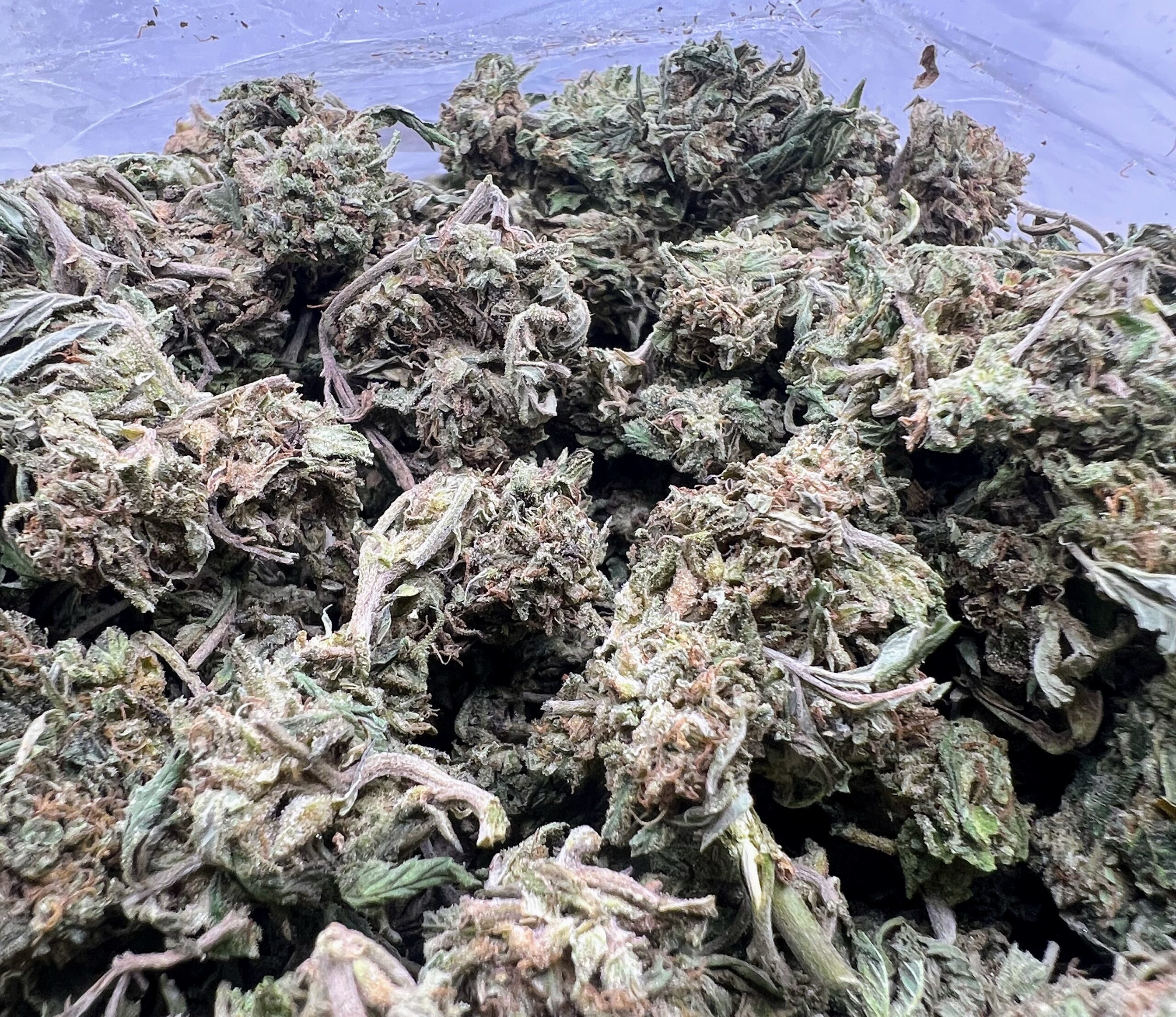 Forbidden Fruit - Image 2