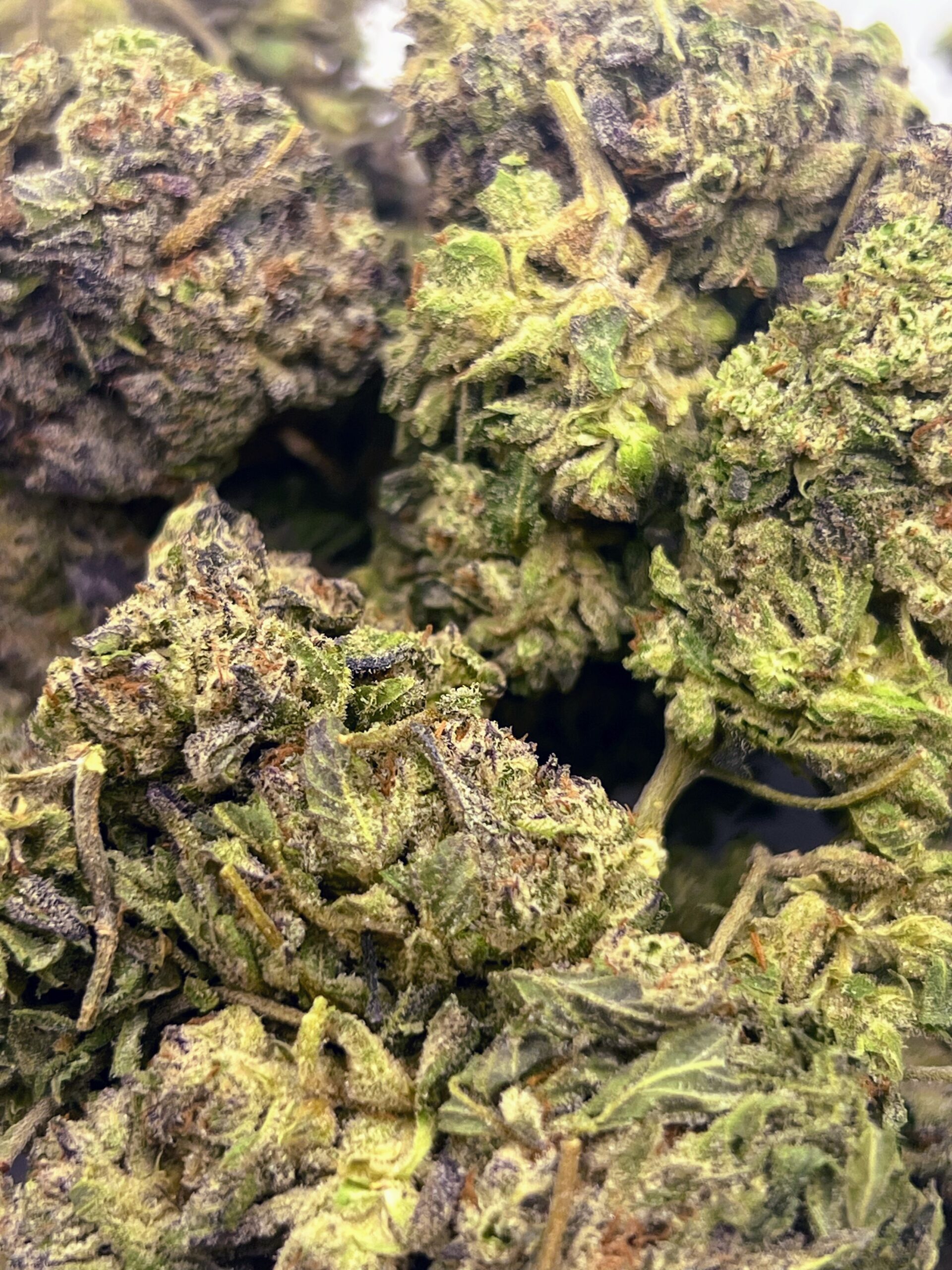 Purple Sherbert - Image 2