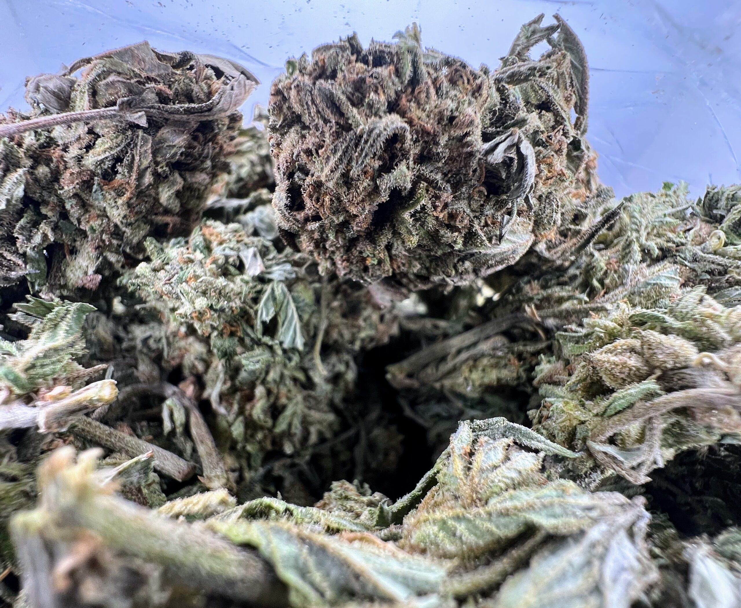 LA Confidential - Image 2