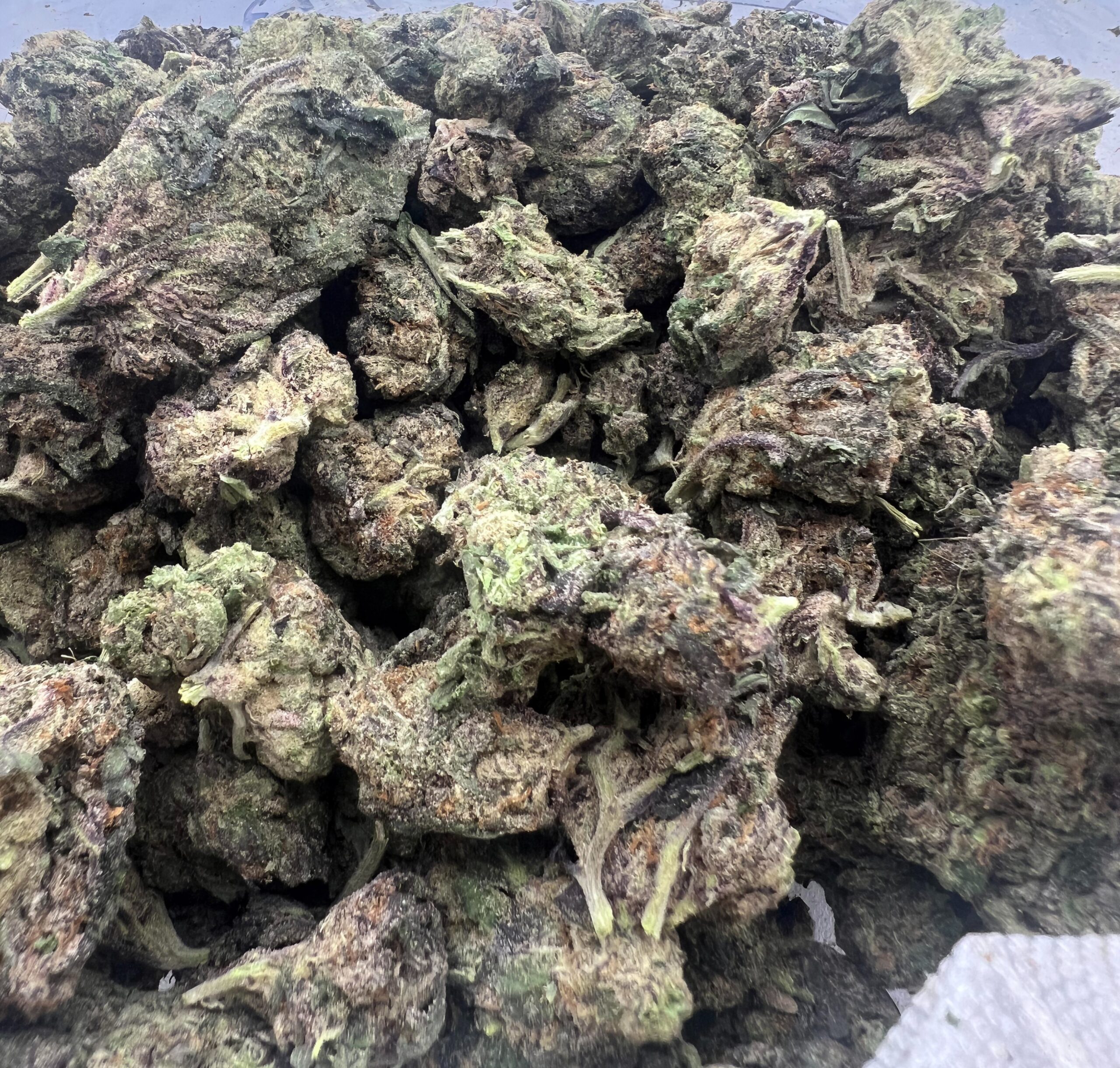 Mochi Runtz - Image 2