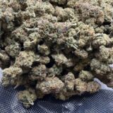 WEDDING GELATO - Image 2