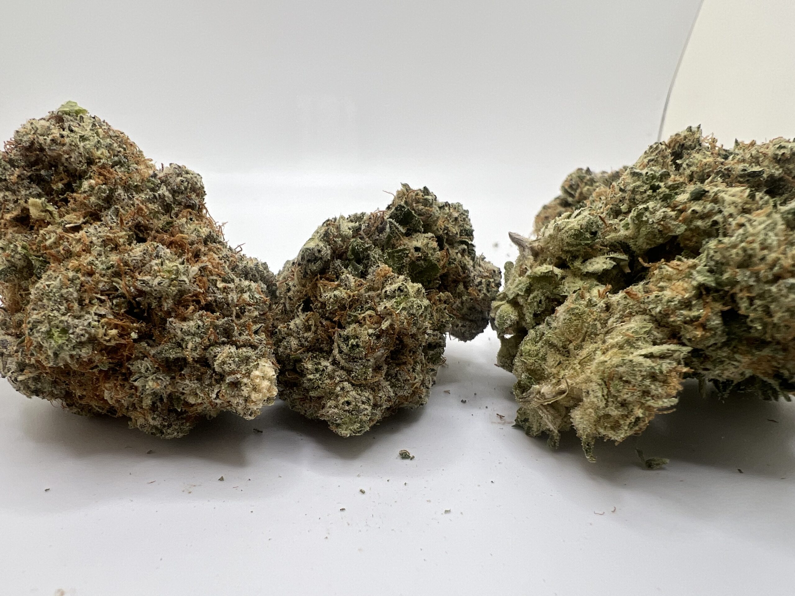 CEREAL MILK - Image 2