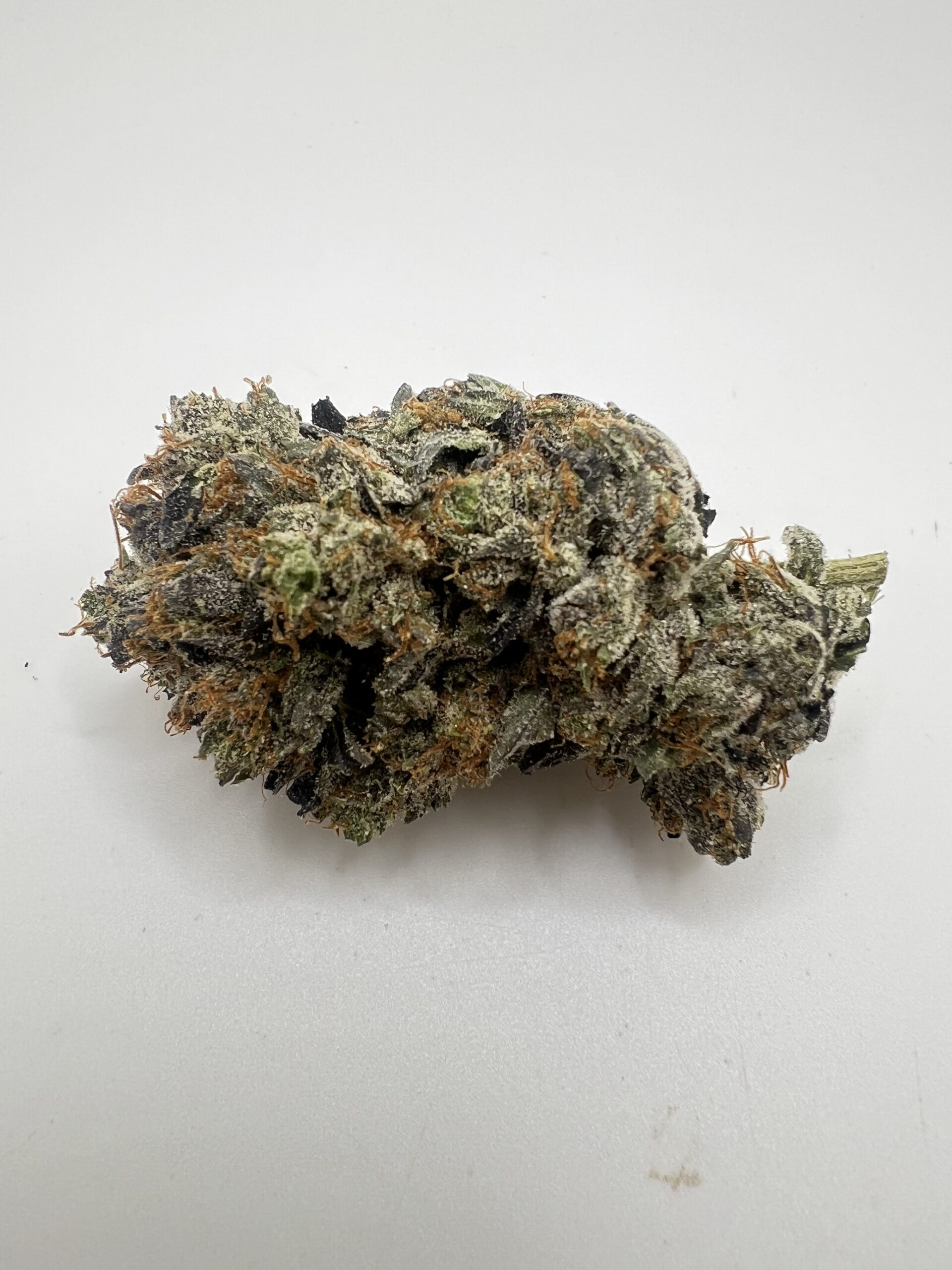 QUATTRO PINK - Image 2