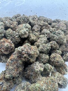 $12 Legend Pink - Image 2