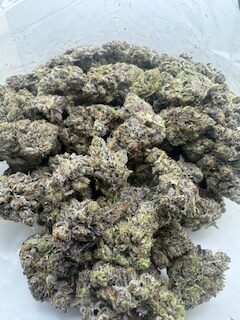 Kings Pink - Image 2