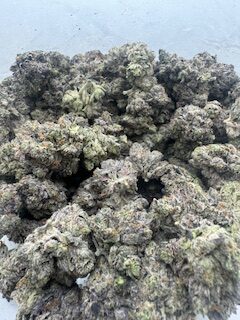 $10 Ultra Pink - Image 2