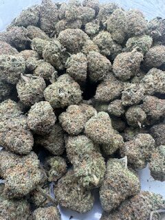 DURBAN POISON - Image 2