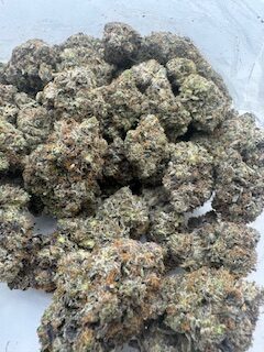 $12 Pink Animal - Image 2