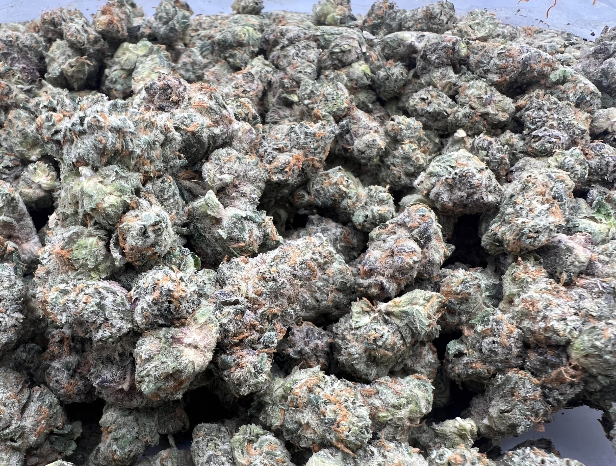 Berry White - Image 2