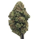 Durban Poison